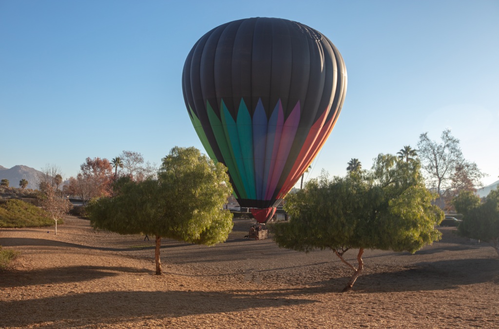 Black Hot Air Balloon with Colorful Accents Preparing for Launch in Park Setting.jpg