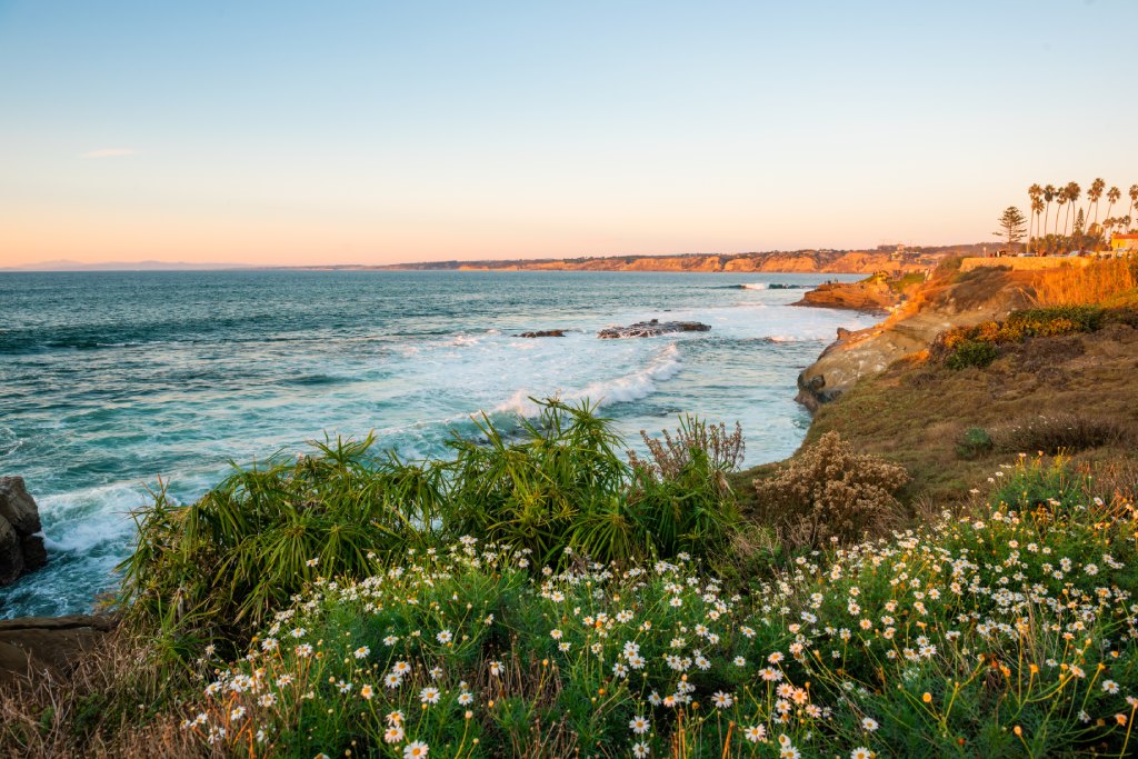 La Jolla Beach Coast