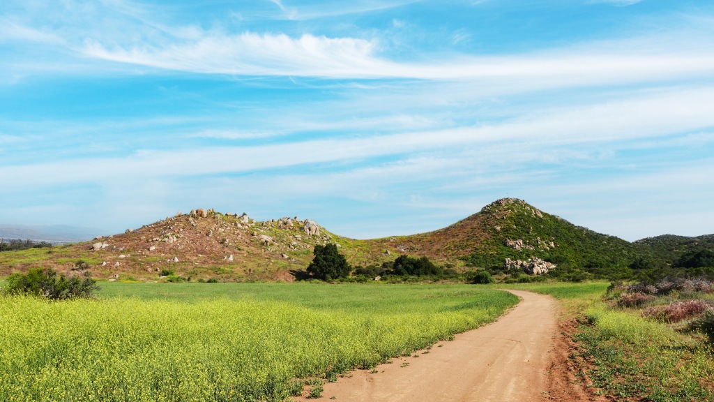 Regional Dirt Trail with Yellow Wildflowers and Rocky Hills under Blue Sky.jpg